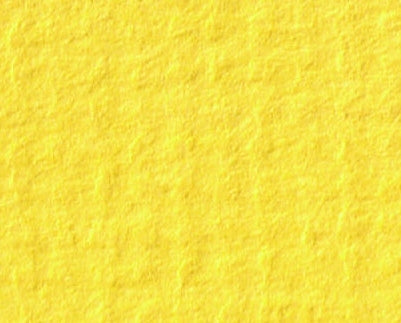 STAND. YOLK, 81x120