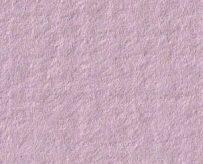 STAND. ROSE, 81x102