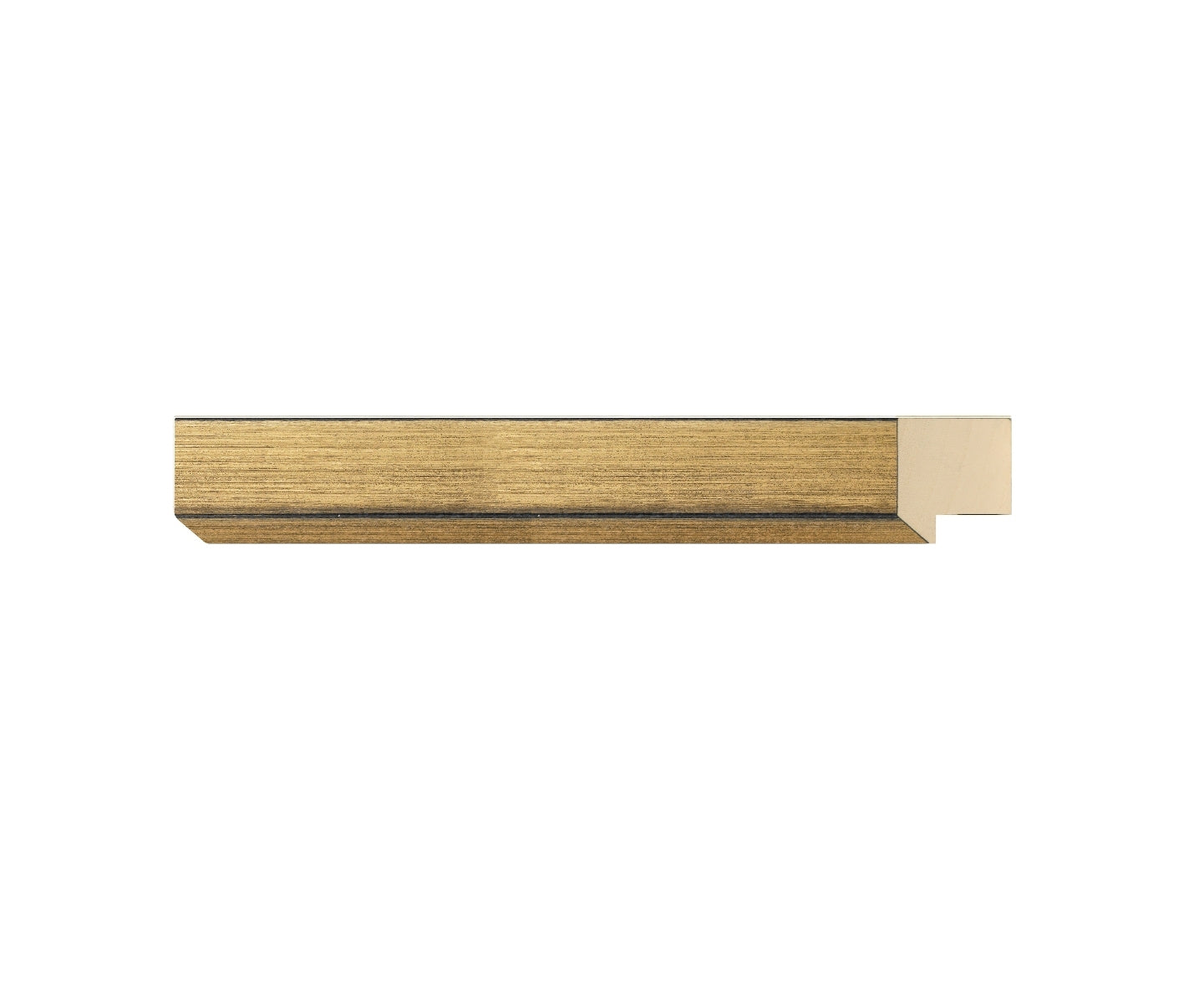 STUDIO ORO VIEJO GT. FILOS