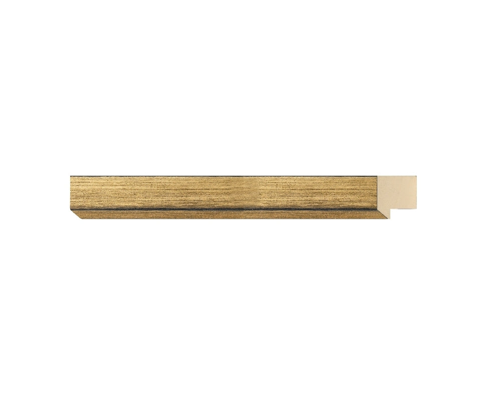 STUDIO ORO VIEJO GT. FILOS