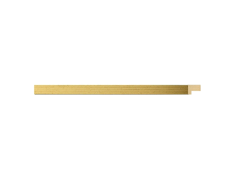 ORO CL. GT.