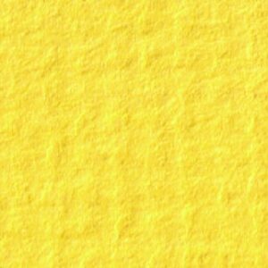 STAND. YOLK, 81x120