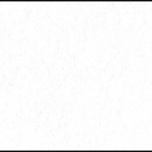 STAND. WHITE 81x120