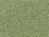 STAND. PALM 81x120
