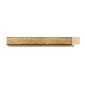 STUDIO ORO VIEJO GT. FILOS