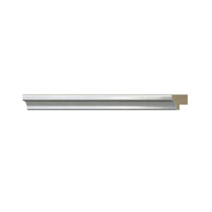 STICK PLATA RY.
